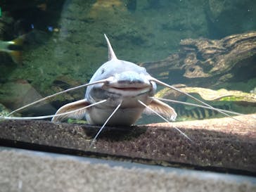 サンシャイン水族館に投稿された画像（2021/4/24）