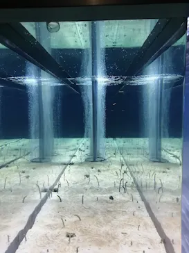 すみだ水族館に投稿された画像（2021/4/24）