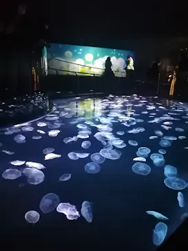すみだ水族館に投稿された画像（2021/4/24）