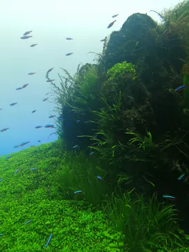 すみだ水族館に投稿された画像（2021/4/24）