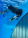 サンシャイン水族館に投稿された画像（2021/4/24）