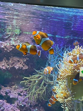 サンシャイン水族館に投稿された画像（2021/4/24）