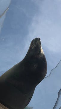 サンシャイン水族館に投稿された画像（2021/4/24）