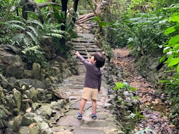 御菓子御殿　名護店　やんばる亜熱帯の森DINO恐竜PARKに投稿された画像（2021/4/24）