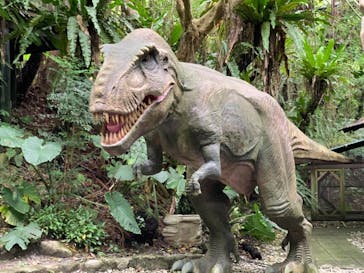 御菓子御殿　名護店　やんばる亜熱帯の森DINO恐竜PARKに投稿された画像（2021/4/24）