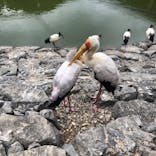 ネオパークオキナワに投稿された画像（2021/4/25）