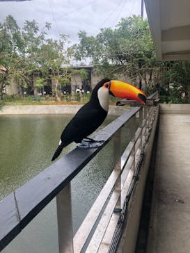 ネオパークオキナワに投稿された画像（2021/4/24）