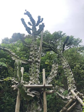 ネオパークオキナワに投稿された画像（2021/4/24）