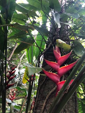 ネオパークオキナワに投稿された画像（2021/4/24）