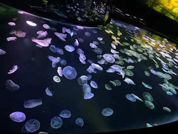 すみだ水族館に投稿された画像（2021/4/24）