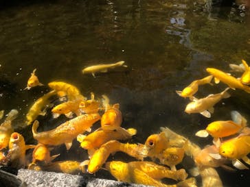 昇仙峡ロープウェイに投稿された画像（2021/4/24）