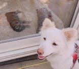 しろとり動物園に投稿された画像（2021/4/25）