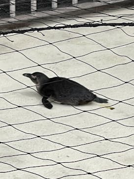 横浜・八景島シーパラダイスに投稿された画像（2021/4/25）