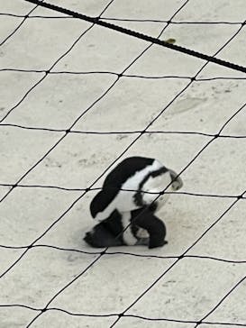 横浜・八景島シーパラダイスに投稿された画像（2021/4/25）