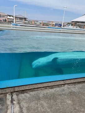 横浜・八景島シーパラダイスに投稿された画像（2021/4/25）