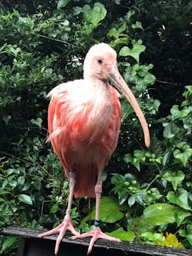 伊豆シャボテン動物公園に投稿された画像（2021/4/25）