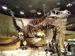 国立科学博物館に投稿された画像（2021/4/25）