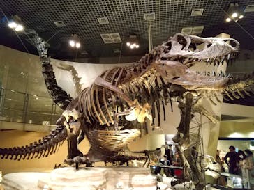 国立科学博物館に投稿された画像（2021/4/25）