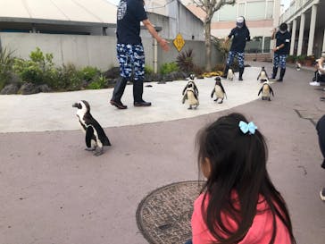 横浜・八景島シーパラダイスに投稿された画像（2021/4/25）