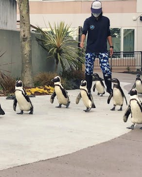 横浜・八景島シーパラダイスに投稿された画像（2021/4/25）