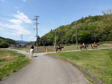 マリンズステーブルに投稿された画像（2021/4/25）