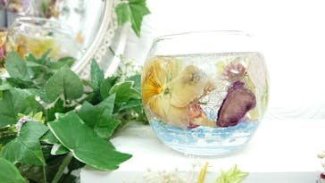 ずこうしつ〜sugamo〜に投稿された画像（2021/4/25）