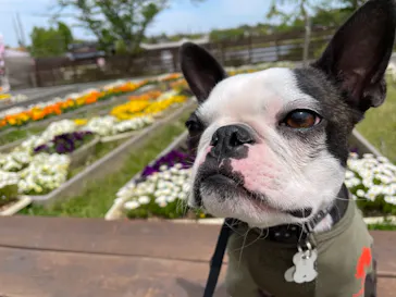 わんダフルネイチャーヴィレッジに投稿された画像（2021/4/25）