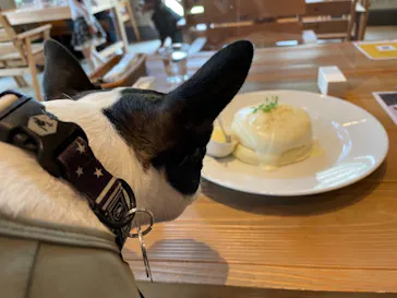 わんダフルネイチャーヴィレッジに投稿された画像（2021/4/25）