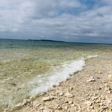 西表島 ADVENTURE PiPi（アドベンチャーピピ）に投稿された画像（2021/4/25）