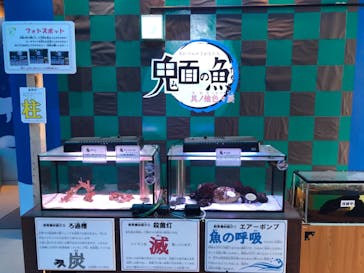 南知多ビーチランド＆南知多おもちゃ王国に投稿された画像（2021/4/25）