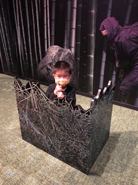 小田原城に投稿された画像（2021/4/25）