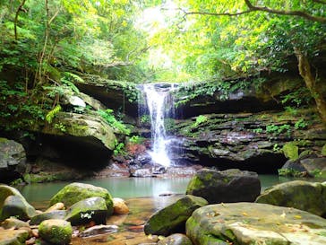 西表島 ADVENTURE PiPi（アドベンチャーピピ）に投稿された画像（2021/4/25）