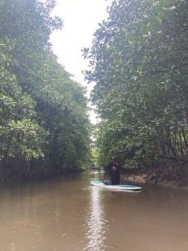 西表島 ADVENTURE PiPi（アドベンチャーピピ）に投稿された画像（2021/4/25）