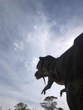 伊豆ぐらんぱる公園に投稿された画像（2021/4/25）