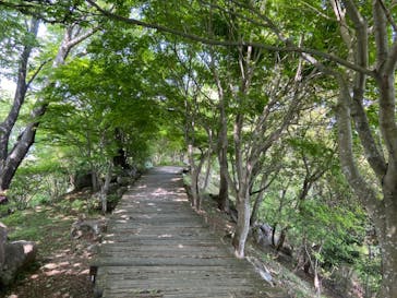 伊豆パノラマパークに投稿された画像（2021/4/25）