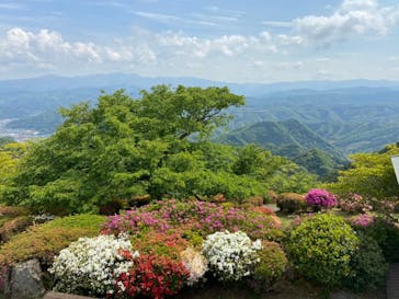 伊豆パノラマパークに投稿された画像（2021/4/25）