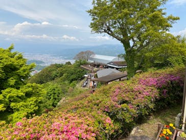 伊豆パノラマパークに投稿された画像（2021/4/25）