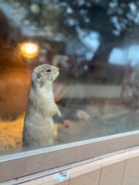横浜・八景島シーパラダイスに投稿された画像（2021/4/26）
