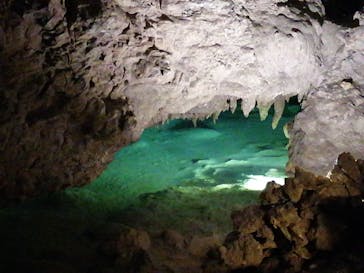 おきなわワールドに投稿された画像（2021/4/24）