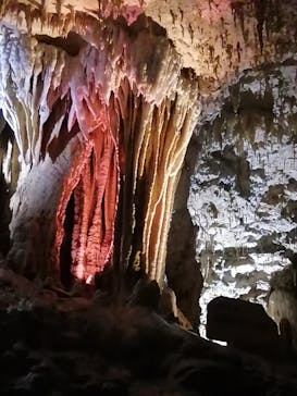 おきなわワールドに投稿された画像（2021/4/24）