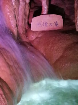 おきなわワールドに投稿された画像（2021/4/24）