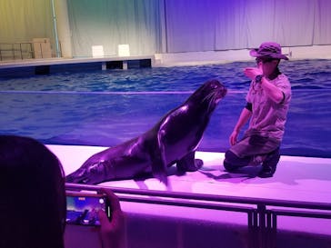 アクアワールド茨城県大洗水族館に投稿された画像（2021/4/26）