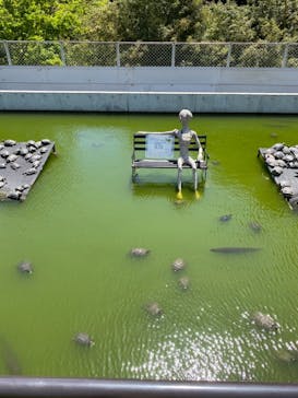 体感型動物園iZooに投稿された画像（2021/4/26）