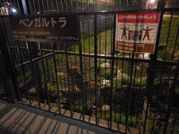 那須サファリパークに投稿された画像（2021/4/26）