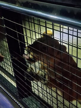 那須サファリパークに投稿された画像（2021/4/26）