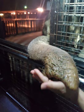 那須サファリパークに投稿された画像（2021/4/26）