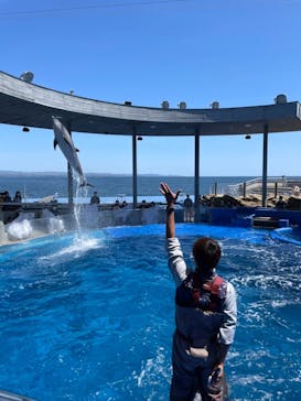 大分マリーンパレス水族館 「うみたまご」に投稿された画像（2021/4/26）