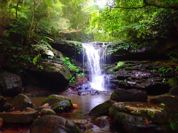 西表島 ADVENTURE PiPi（アドベンチャーピピ）に投稿された画像（2021/4/26）