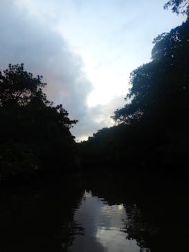 西表島 ADVENTURE PiPi（アドベンチャーピピ）に投稿された画像（2021/4/26）