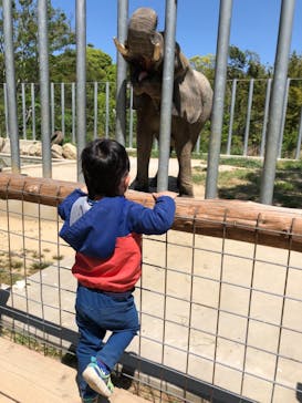 しろとり動物園に投稿された画像（2021/4/26）